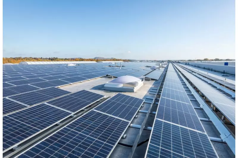 Neue Solaranlage auf dem Dach der Osnabrücker Lagerhallen decken 25 bis 30 % des eigenen Energiebedarfs.