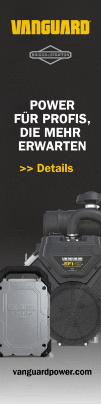 Briggs & Stratton Skyscraper 200x800 November und Dezember 2025 (bm)