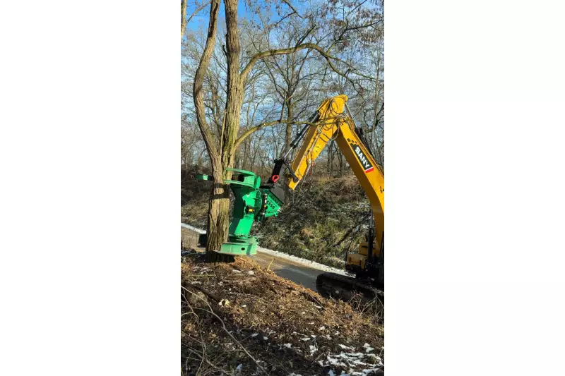 Baumstämme mit einer Stärke von bis zu 60cm sind kein Problem für den 23-Tonner mit Fällschere. Der Bagger steht trotzdem fest und sicher.
