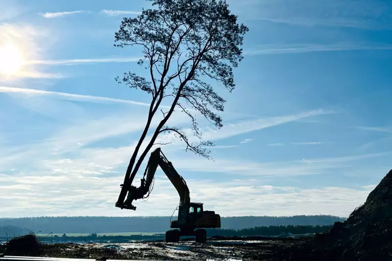 Um Forstarbeiten wie diese sicher auszuführen, braucht es eine Maschine mit entsprechender Power und hoher Standfestigkeit, wie den SANY 215C, der sicher die 10m hohe Akazie transportiert.