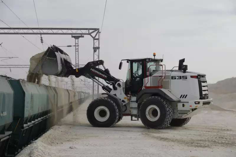 Der HMK 635 WL ist für schwere Ladeaufgaben etwa im Steinbruch, Bergbau oder in Betonwerken vorgesehen und auf eine hohe Produktivität bei kurzen Ladezyklen ausgelegt.