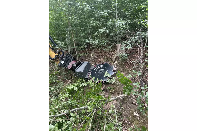 Keine kostspielige Hubarbeitsbühne mehr notwendig: Für Schnitt- und Sägearbeiten bis zu einem Durchmesser von 20 cm auch in großer Höhe reicht ein mit RotoTop und CutWheel Bagger ausgestatteter Bagger völlig aus.