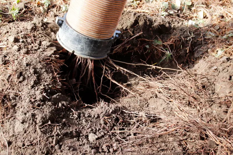 Die schonende Entfernung der Erde sorgt für den vollständigen Erhalt der Baumwurzeln bei Baumaßnahmen.