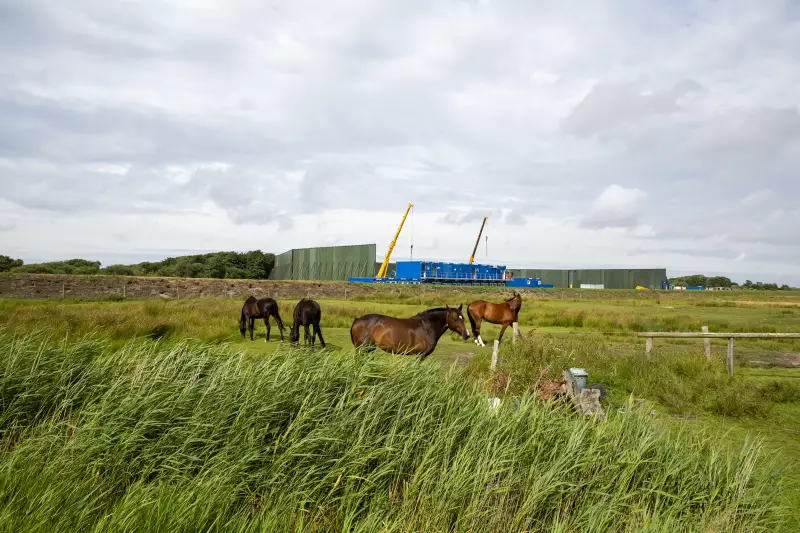 Die Baustelle für die Netzanbindungssysteme BalWin1 und BalWin2 liegt inmitten geschützter Natur. 
