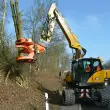 Die Gesamtheit seiner Eigenschaften waren für den Dangelhof entscheidend.