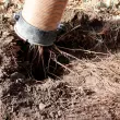 Die schonende Entfernung der Erde sorgt für den vollständigen Erhalt der Baumwurzeln bei Baumaßnahmen.