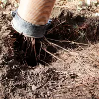 Die schonende Entfernung der Erde sorgt für den vollständigen Erhalt der Baumwurzeln bei Baumaßnahmen.